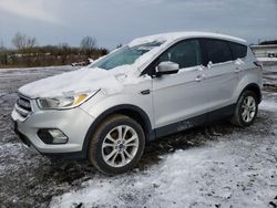 Salvage cars for sale at Columbia Station, OH auction: 2017 Ford Escape SE