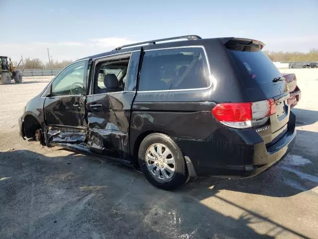 2010 Honda Odyssey EXL