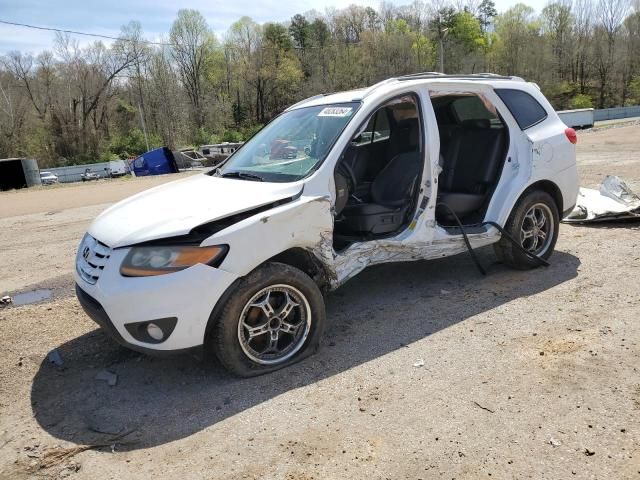 2010 Hyundai Santa FE SE