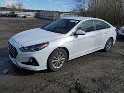 Salvage cars for sale at Arlington, WA auction: 2019 Hyundai Sonata SE