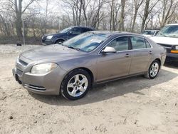 Salvage cars for sale at Cicero, IN auction: 2010 Chevrolet Malibu 1LT