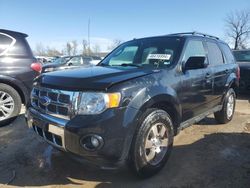 Salvage cars for sale at Bridgeton, MO auction: 2012 Ford Escape Limited