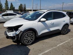 Ford Escape salvage cars for sale: 2023 Ford Escape