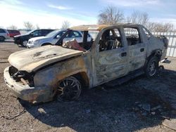 Salvage Trucks for parts for sale at auction: 2004 Chevrolet Avalanche K1500