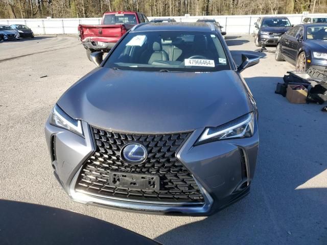 2019 Lexus UX 250H