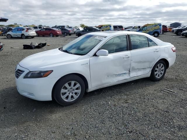 2009 Toyota Camry Hybrid