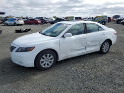 Toyota Vehiculos salvage en venta: 2009 Toyota Camry Hybrid