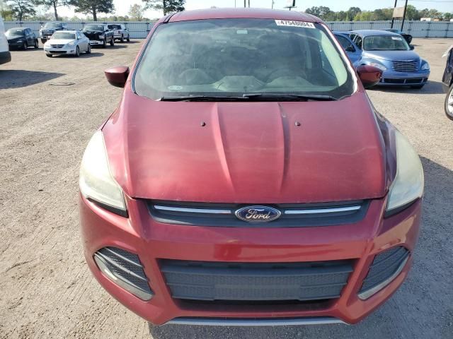 2013 Ford Escape SE