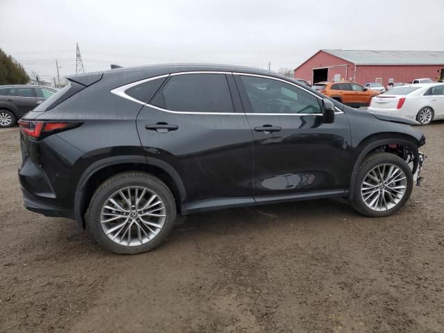 2024 Lexus NX 350H Base