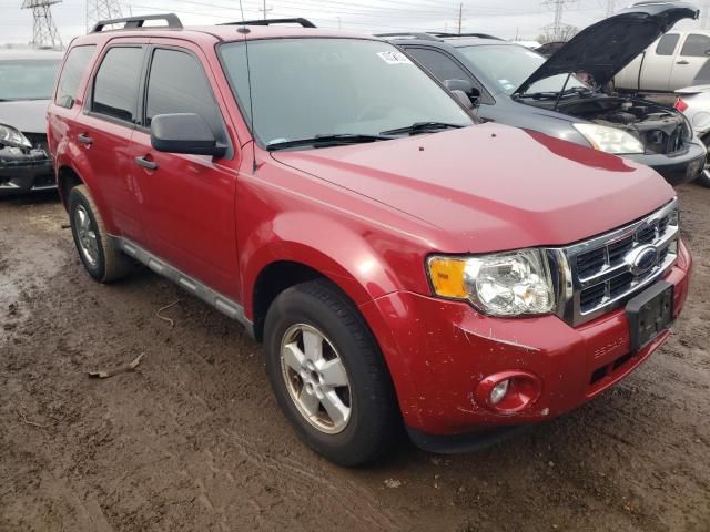 2009 Ford Escape XLT