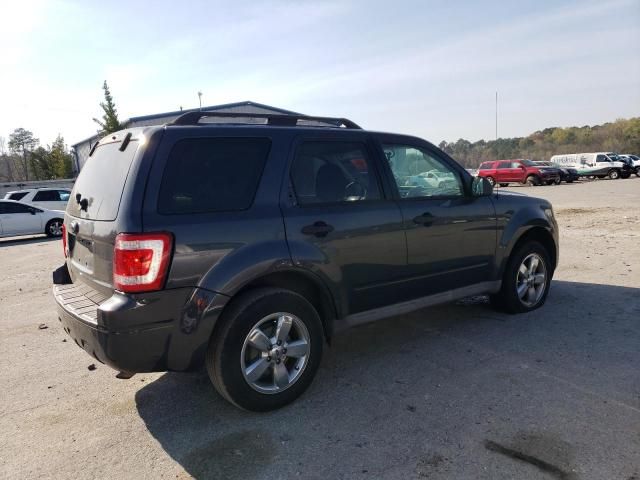 2009 Ford Escape XLT