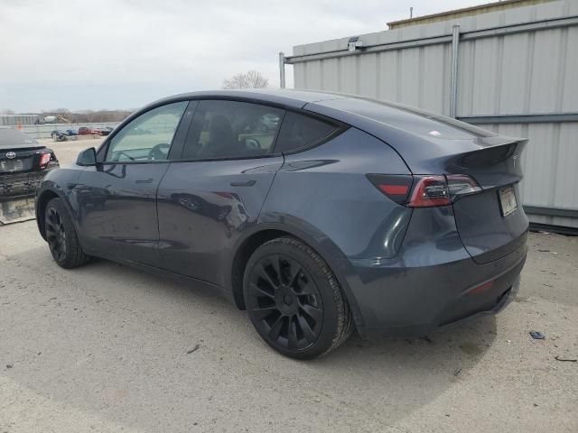 2020 Tesla Model Y