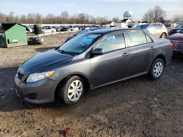 2010 Toyota Corolla Base