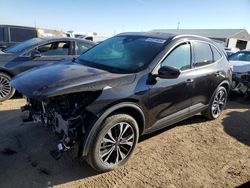 Salvage cars for sale at Brighton, CO auction: 2022 Ford Escape SEL