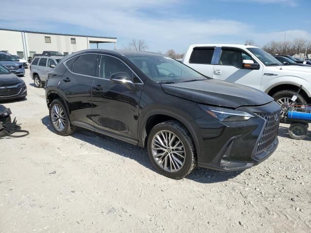 2023 Lexus NX 350