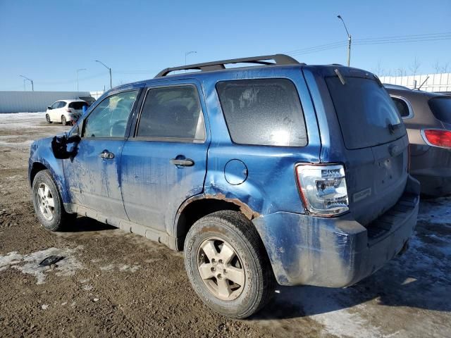 2008 Ford Escape XLT