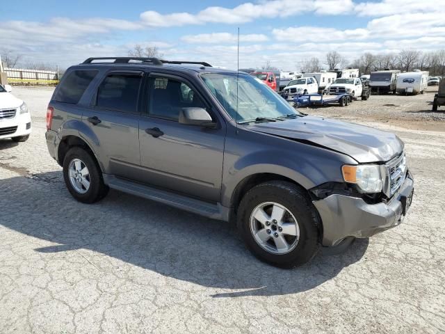 2011 Ford Escape XLT