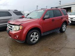 Salvage cars for sale at Chicago Heights, IL auction: 2012 Ford Escape XLT