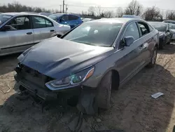 Salvage cars for sale at Hillsborough, NJ auction: 2018 Hyundai Sonata SE