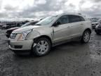 2013 Cadillac SRX Luxury Collection