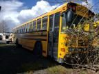 2008 Blue Bird School Bus / Transit Bus