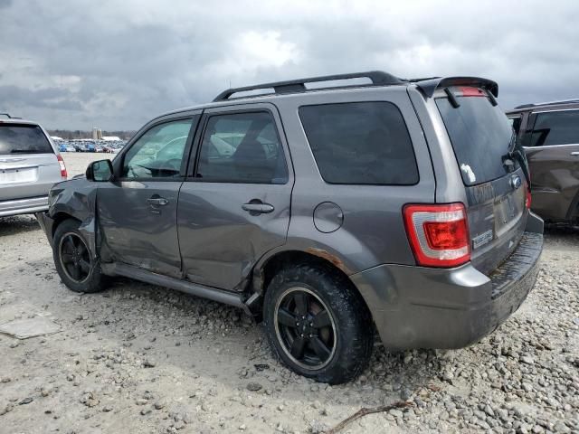 2011 Ford Escape XLT