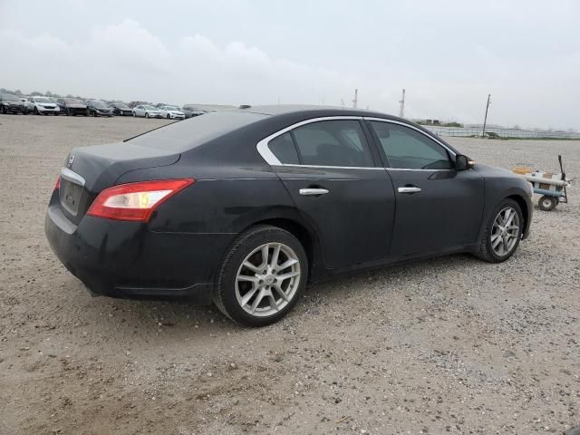 2010 Nissan Maxima S