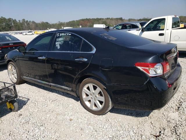 2010 Lexus ES 350