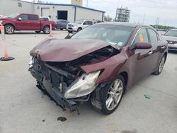 Nissan Maxima salvage cars for sale: 2011 Nissan Maxima S