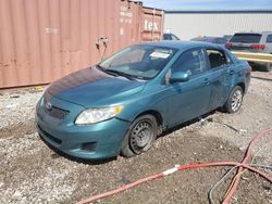 Toyota Corolla salvage cars for sale: 2010 Toyota Corolla Base