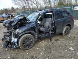 Salvage cars for sale at Candia, NH auction: 2023 Subaru Forester Sport