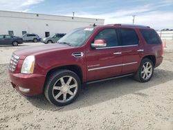 Salvage cars for sale at Farr West, UT auction: 2008 Cadillac Escalade Luxury