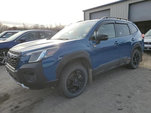 2023 Subaru Forester Wilderness