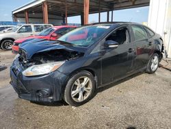 Ford Focus SE salvage cars for sale: 2013 Ford Focus SE