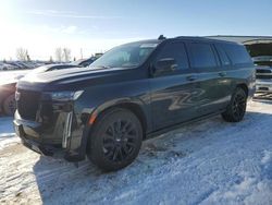 Cadillac salvage cars for sale: 2023 Cadillac Escalade ESV Sport