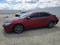 Salvage cars for sale at Adelanto, CA auction: 2016 Toyota Camry LE