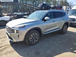 Salvage cars for sale at North Billerica, MA auction: 2023 Hyundai Santa FE Limited