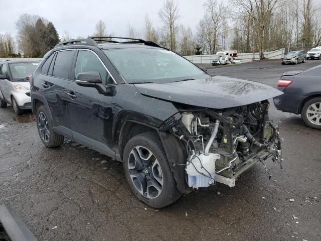 2019 Toyota Rav4 Adventure