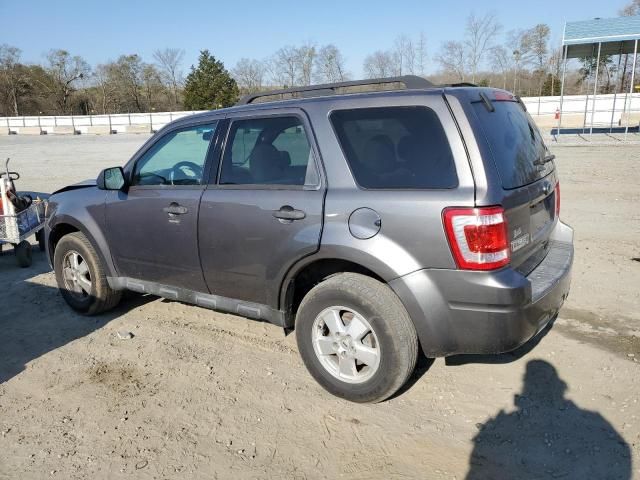 2011 Ford Escape XLT