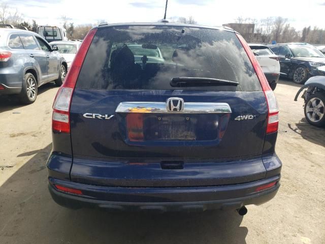 2010 Honda CR-V EXL