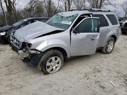Salvage cars for sale at Cicero, IN auction: 2011 Ford Escape Limited