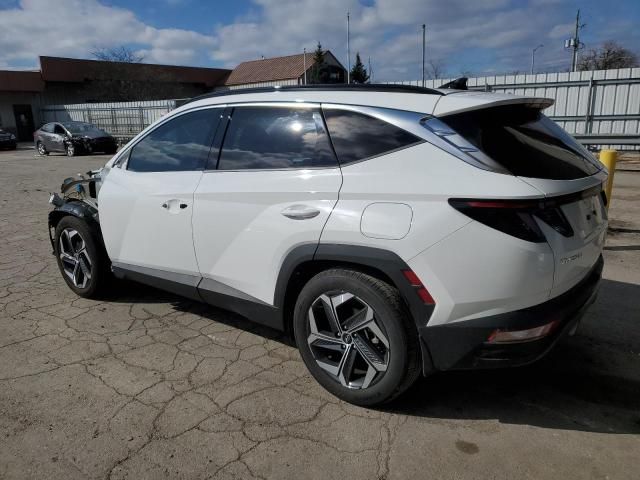 2023 Hyundai Tucson Limited