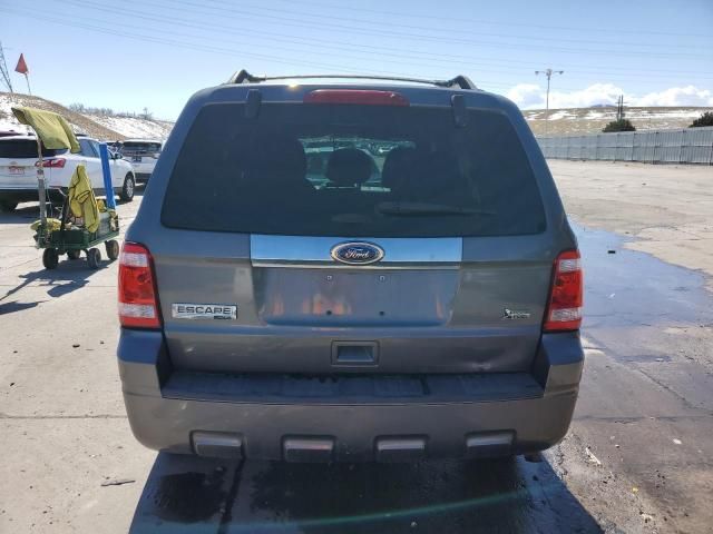 2011 Ford Escape Limited