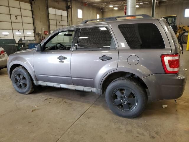 2009 Ford Escape XLT