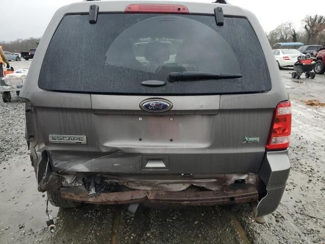 2012 Ford Escape XLT