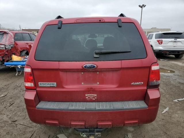 2008 Ford Escape Limited