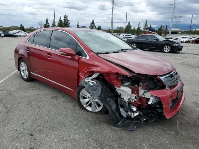 2010 Lexus HS 250H