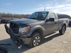 Salvage cars for sale from Copart Louisville, KY: 2013 Ford F150