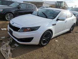 Salvage cars for sale at Brighton, CO auction: 2011 KIA Optima LX