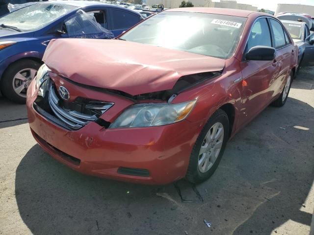 2009 Toyota Camry Hybrid